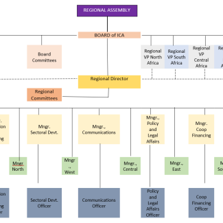 ICA-Africa New Organization structure