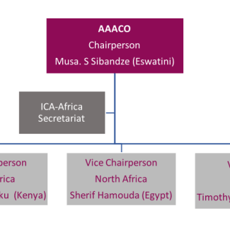 AAACO Organizational Chart
