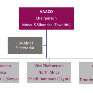 AAACO Organizational structure