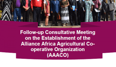 Alliance Africa Agricultural Co-operative Organization