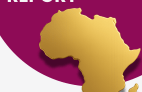 ANNUAL REPORT 
